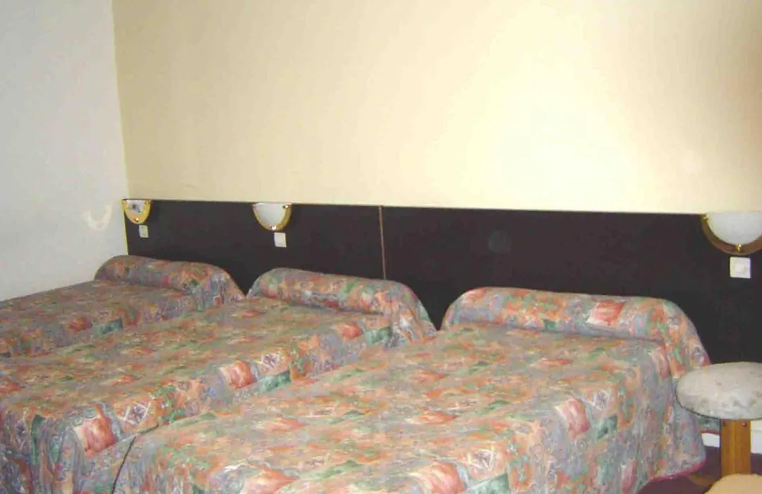 Hotel Ferney Republique-1